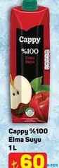 CAPPY %100 ELMA MEYVE SUYU 1 L CAPPY %100 ELMA MEYVE SUYU 1 L
